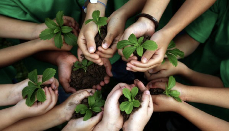 Education for Sustainable Development