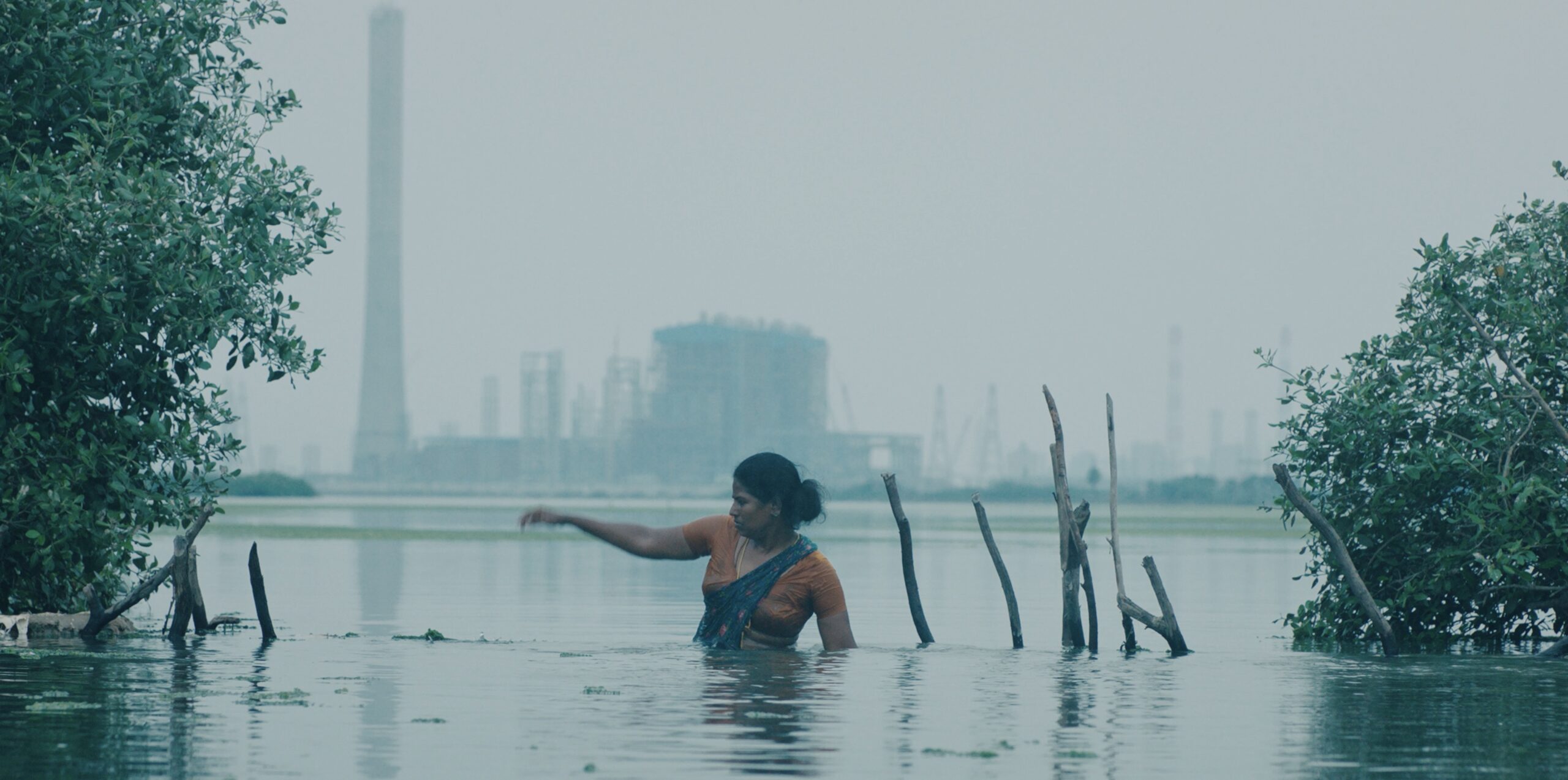 educazione ambientale al cinema, il cortometraggio The feast