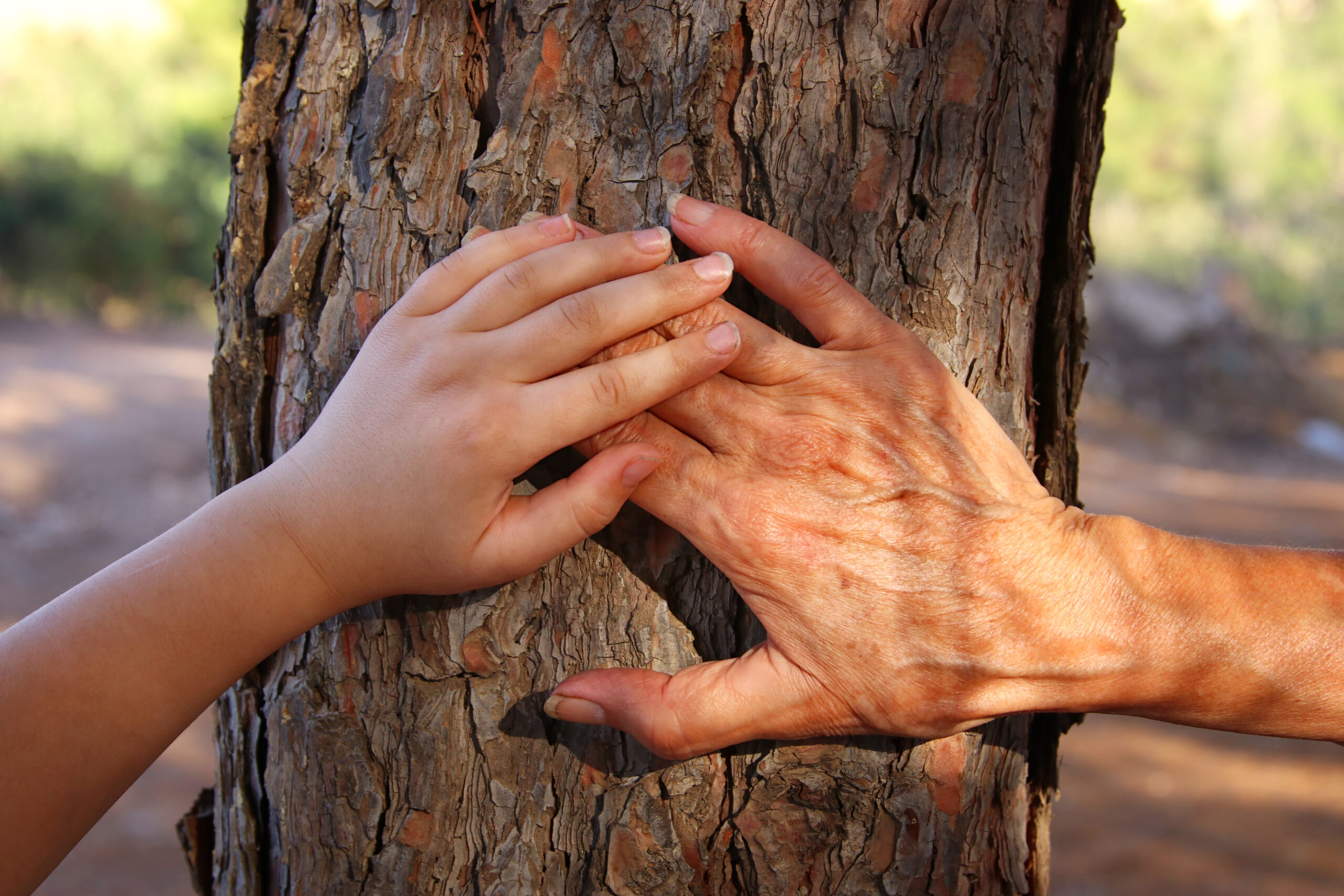 image of old woman and a kid holding hands together through a walk in the forest.