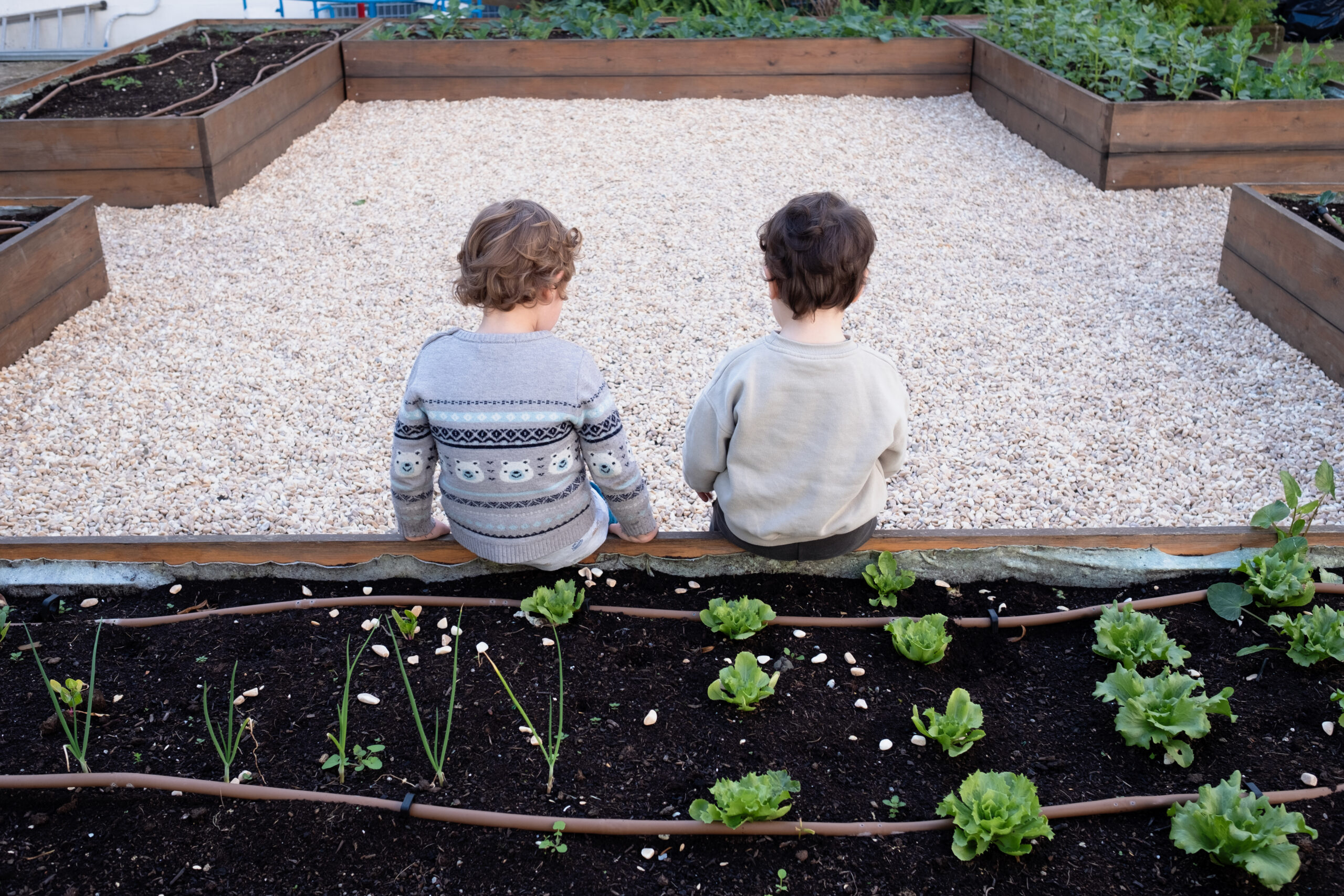 AI e scuola, intervista a Mario Rasetti